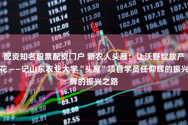 配资知名股票配资门户 新农人头雁：让沃野绽放产业之花 ——记山东农业大学“头雁”项目学员任仰辉的振兴之路