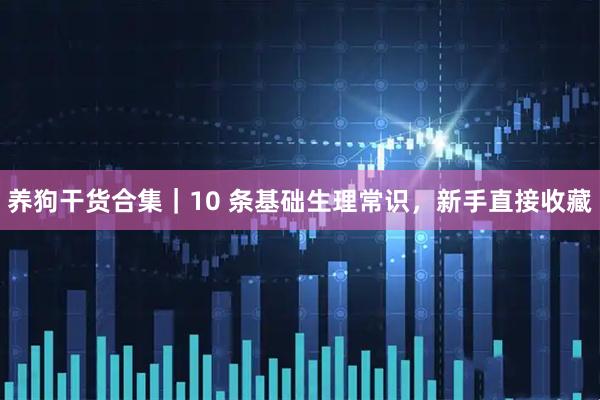 养狗干货合集｜10 条基础生理常识，新手直接收藏